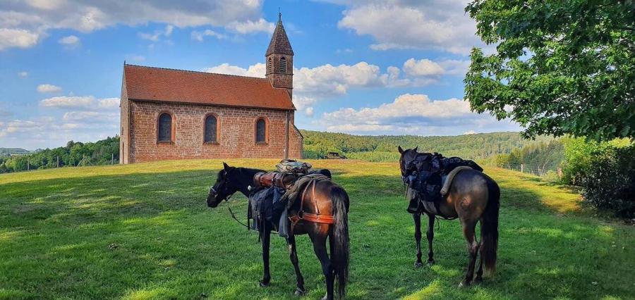 Nouvelles Tourisme  Saint-Quirin, plus beau village de France : un patrimoine riche au cœur des Vosges