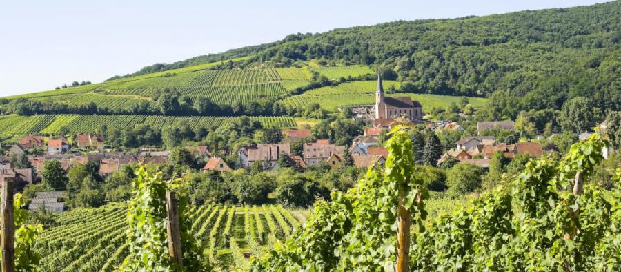 France Alsace Route du vin