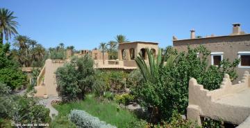 Maroc                            Ouarzazate Les Jardins De Skoura